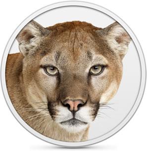 Single User Admin on OS X Mountain Lion 