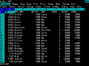 Lotus 1-2-3 on an IBM PC.