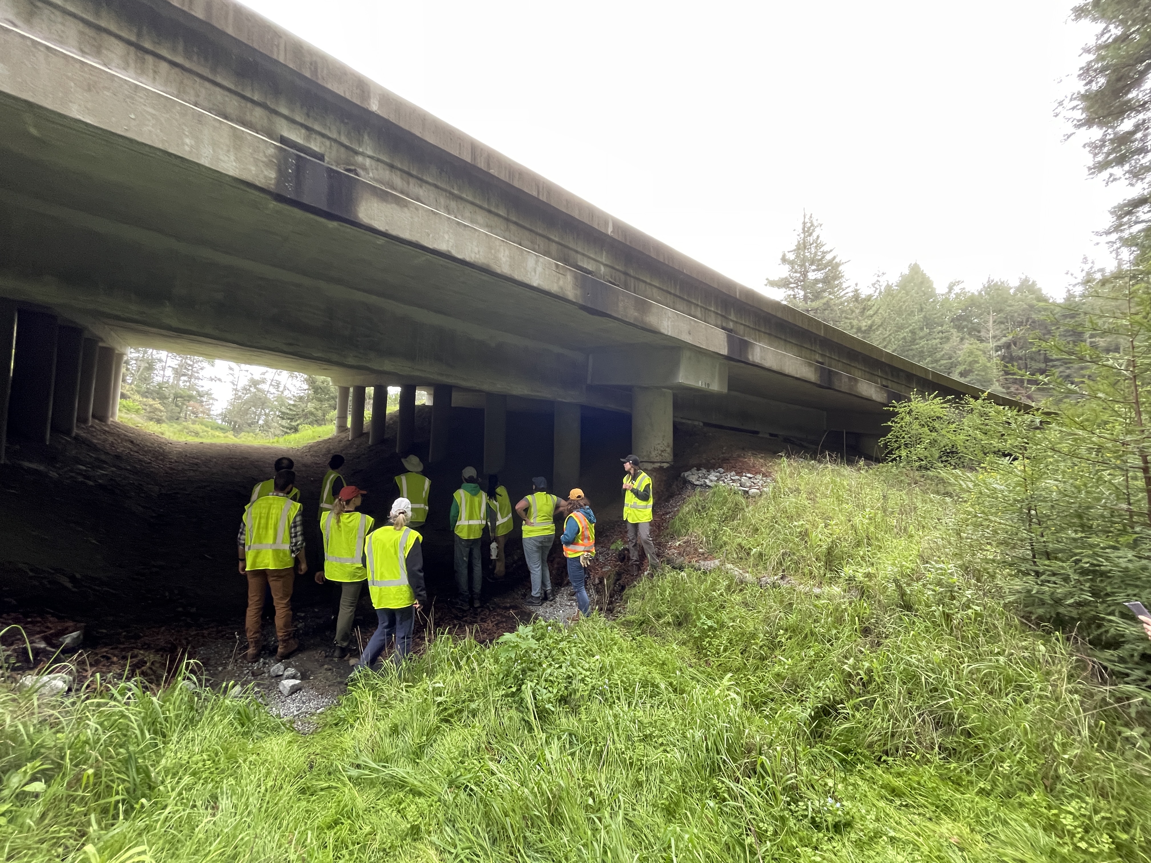 The group at the Highway 17 wildlife undercrossing.